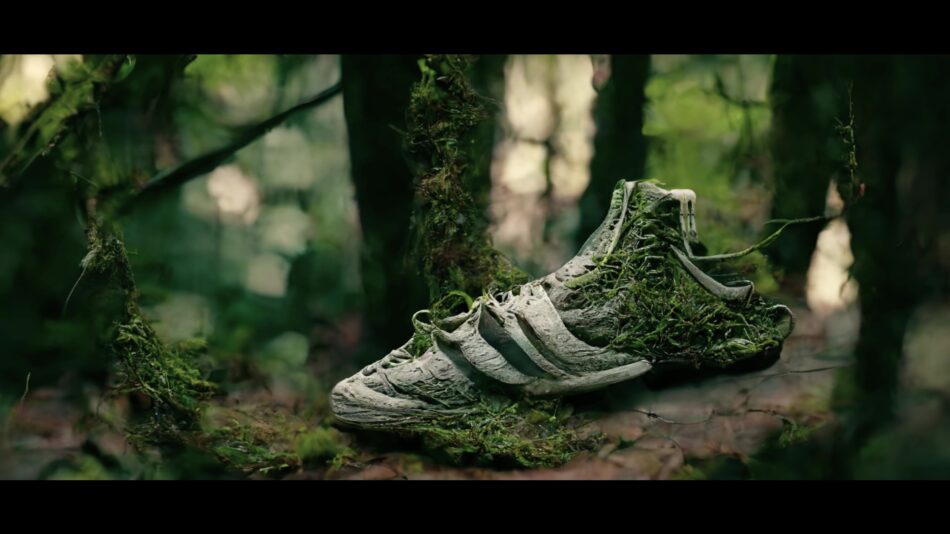 Forest_shoes